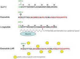 Image result for Exenatide