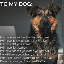 See actions taken by the people who manage and post content. A 2nd Chance Pet Adoptions Home Facebook