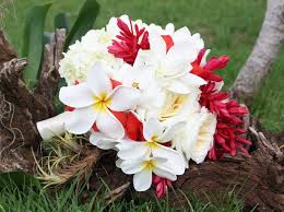 Hawaiian Ginger Bouquet San Diego Wedding Blog Tropical Wedding Bouquets Ginger Flower Tropical Wedding Flowers