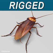 Realistic Cockroach 3d Max 3d Model Cockroaches Pattern Illustration