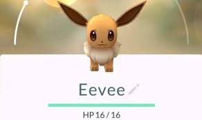 Pokemon Go How To Get All Eevee Evolutions Leafeon Glaceon More New pokemon in pokemon go! eevee evolutions leafeon glaceon