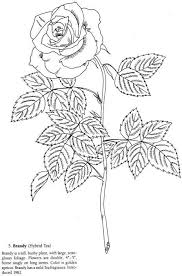 Rose Coloring Page From Favorite Roses Coloring Book By Dover Publications Rose Coloring Pages Mandala Coloring Pages Valentine Coloring Pages