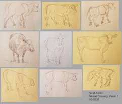 Maybe you would like to learn more about one of these? Week 1 Animal Drawing Class Cg Master Academy Facebook