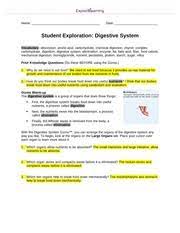 We would like to show you a description here but the site won't allow us. Build Now It Is Time To Design And Build Your Own Digestive System Start With Course Hero