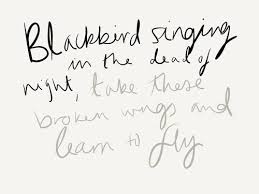 Blackbird Singing In The Dead Of Night Lyrics The Beatles Lyrics Tumblr Music Pop Rock Soul Rnb Metal Live Guitar Drums Stage The Beatles Blackbird Lyrics