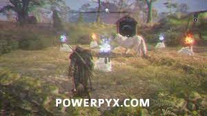 Assassin S Creed Valhalla All Fly Agaric Locations