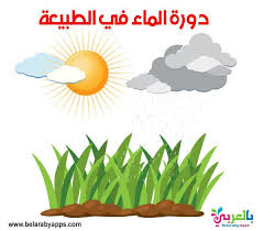 بحث عن الطاقة وأنواعها ومصادرها طرق ترشيد الطاقة Fruit Pineapple