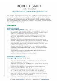 All tasks to be carried out efficiently Junior Accountant Resume Samples Qwikresume