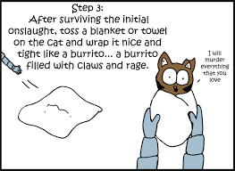 Let's first talk brother, he's a big maine coon, with giant claws and abs of steel. A Comic About How To Give A Cat A Pill
