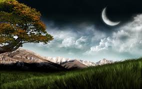 An alternative for customizing your desktop or laptop background. 49 Free 3d Nature Wallpaper On Wallpapersafari