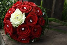 Dieser biedermeierstrauß besteht aus großen weißen rosen und edlen callas. Brautstrauss Klassisch Mit Roten Rosen Als Blickfang 1 Weisse Rose Und Glitzersteckern Weddingideas Hochzeit Brautstrauss Brautstrausse Weisse Rose Brautstrauss