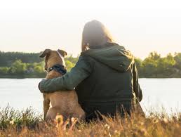 Service and pricing may vary by location. Petvet Convenient And Affordable Preventive Veterinary Care