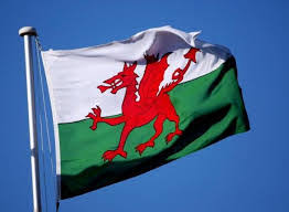 Then there's wales, the isle of man, isle of wight and the scilly isles (off penzance). Janice S Welsh Flag Voted One Of The Coolest On The Planet