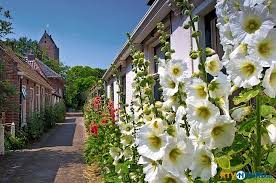Garnwerd Groningen Garnwerd Gronings Garwerd Is Een Wierdedorp Aan Het Reitdiep In De Gemeente Winsum In De Nederlandse Provinc Groningen Nederland Stad