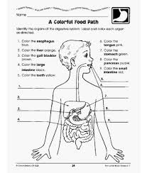 Human Body Worksheets Human Body Worksheets Human Body Printables Human Body Activities