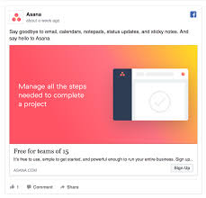 Asana Facebook Ad Advertising Strategies Facebook Advertising Ads