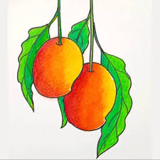 Mango drawing in easy steps Painting ...