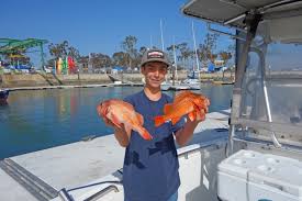Ohana sportfishing dana point ca, fishing charters, yacht charters, boat rentals, fishing. 3 12 17 Dana Point Rockfish Bloodydecks