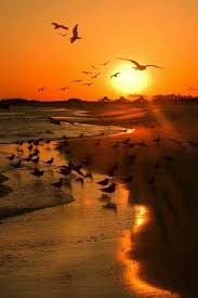 Landscape photography sunrise sunset scenic pictures photographer around the worlds steve afghanistan landscape photojournalism weathering the elements life is the fire that burns and the sun that gives light. 25 Vfx Ref Afghanistan Sunset Ideas Sunset Afghanistan Western Development