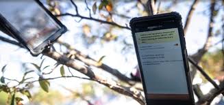 Auf der einen seite ist ein handyverbot natürlich sinnvoll, denn schüler können in der schule keine gewaltvideos mehr tauschen. Warum Vor Amazon Lagerhausern Handys Im Baum Hangen Infosperber