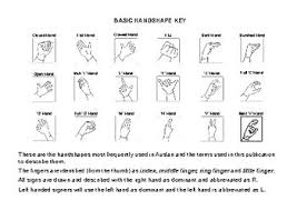 We did not find results for: Animal Signs Flashcards Auslan New Zealand Sign Language Let S Sign