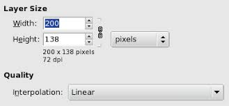 7 51 Scale Layer