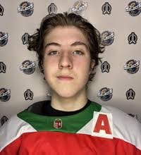 David Szilagyi's Instagram, Twitter & Facebook