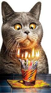 seriously funny cards lustige geburtstagsgratulationen gratulation geburtstag geburtstagskarte