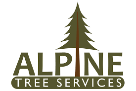 Contact Us Alpine Tree Service