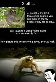 Pin On Funny