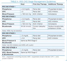 Serum creatinine concentrations for assignment of iris stage of ckd in dogs and cats (from canine and feline. Canine Chronic Kidney Disease Current Diagnostics Goals For Long Term Management Today S Veterinary Practice