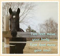 Two Feet Move Your Body Four Feet Move Your Soul Www Gaitsofharmony Webs Com Horse Meme Equestrian Two Feet Move Your Body Four Feet Move Your Soul Horses Equine Therapy Equines