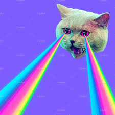 Evil Cat With Rainbow Lasers From Ey Evil Cat Cat Laser Trippy Cat