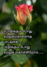 Pin By Bittersweetthought Of Insanity On 01 Tmq 1000 Photo Album Quote Life Quotes Morning Greetings Quotes