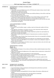 senior product owner resume samples