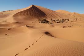 Merzouga, morocco, is a small village in the sahara desert known as the gateway to erg chebbi, a there are many ways to see and explore the desert surrounding merzouga. Merzouga Travel Guide At Wikivoyage