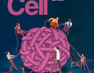 Best scientific journal covers from 2023