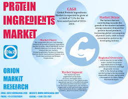Protein Ingredients Market Size Industry Analysis Report And Forecast Marketing Trends Analysis Marketing