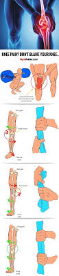 Pin On Gym