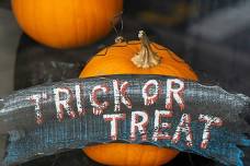 A Haunting Good Time — Friends Of Charlestown State Park