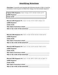 Review those terms and write a short definition transcription: Mutation Worksheet Teachers Pay Teachers