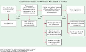 tetanus harrisons principles of internal medicine 20e
