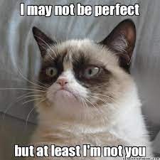 Make your own images with our meme generator or animated gif maker. A Collection Of Grumpy Cats Best Memes Grumpy Cat Humor Grumpy Cat Quotes Grumpy Cat Good