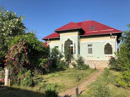 Vezi unde se gaseste cupriavidus metallidurans si de unde provine, de fapt, aurul! Conacel Brancovenesc Houses For Rent In NegruleÈ™ti JudeÈ›ul Valcea Romania