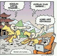 Komik Kedi Vidyosu Karikaturler Sosyalfil