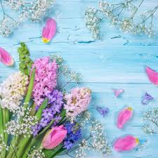 Maybe you would like to learn more about one of these? Pastel Colored Flowers On A Blue Background Stock Photo Picture And Royalty Free Image Image 94575275