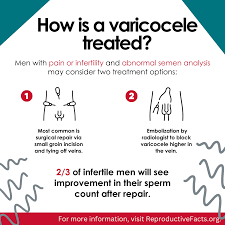 Image result for Varicocele
