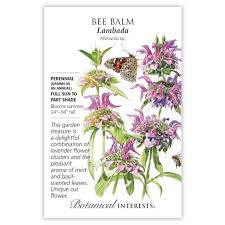 We did not find results for: Bee Balm Lambada Bee Balm Seeds Sustainable Organic Q8