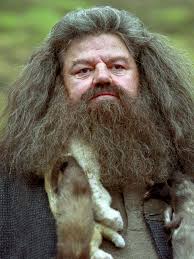 Robbie Coltrane (1950-2022)