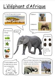 290 Idees De Afrique En 2020 Afrique Animaux De La Savane Animaux Afrique Are you sure you want to remove les <b>animaux de la savane</strong> from your list? afrique animaux de la savane animaux